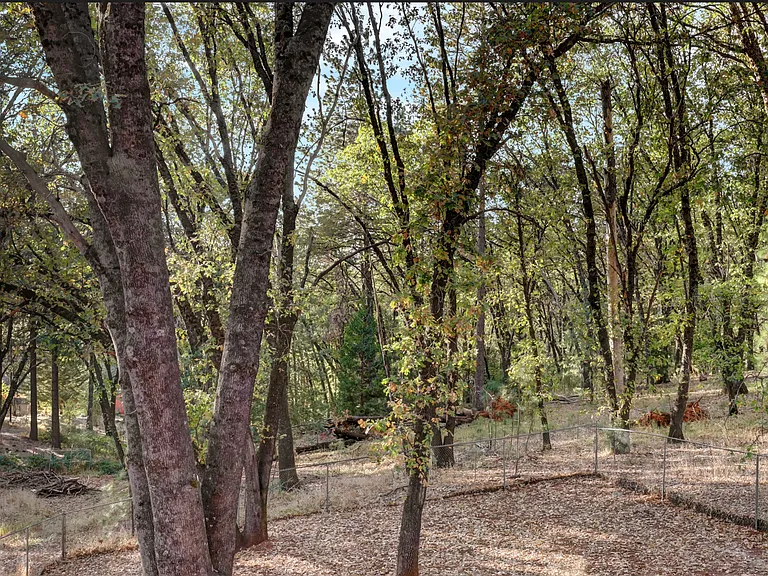 10782 Alta Sierra Dr — Photo 15