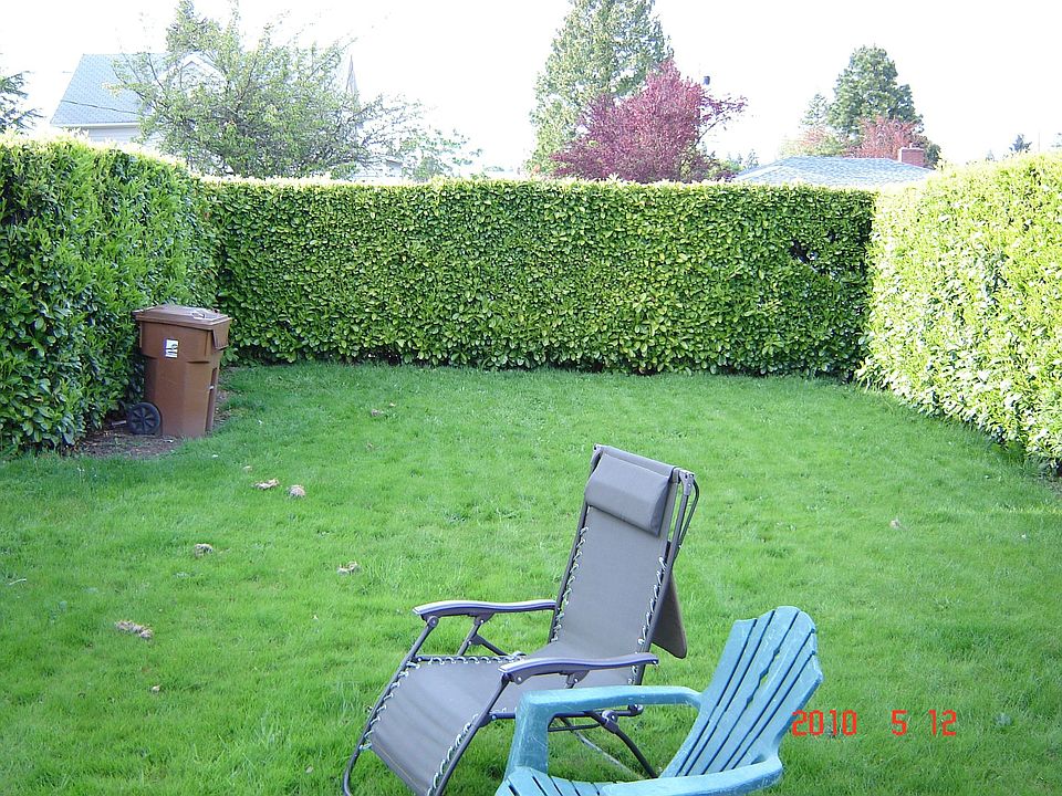 Private back yard