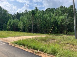 0 Bay Springs Rd, Adrian, GA 31002