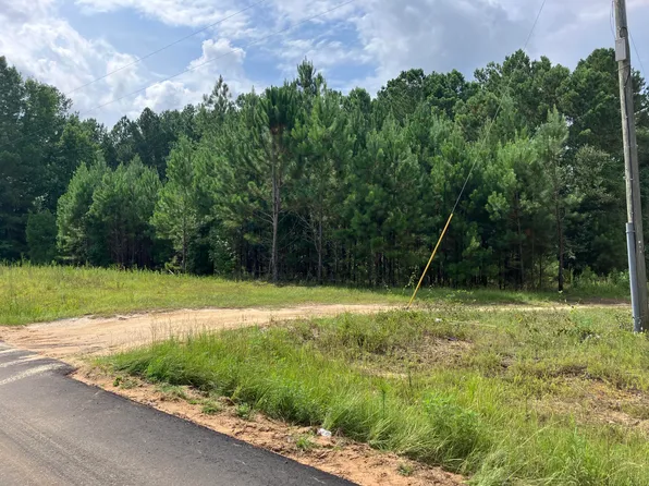 0 BAY SPRINGS Road, Adrian, GA 31002