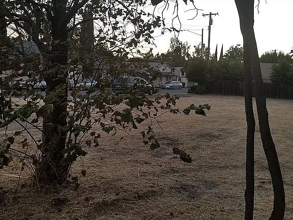 Couple of trees on lot