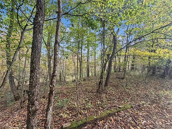 5th image of 881 W State Rd #4