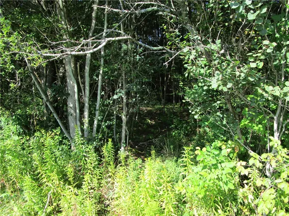 LOT 2 Hotchkiss Rd Lot 2, Greene, NY 13778