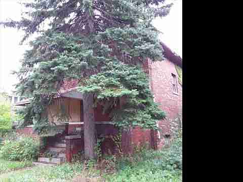 3731 Carter