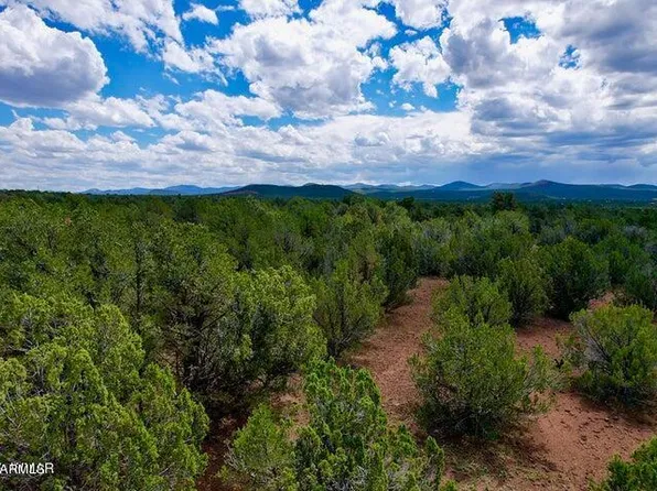 4 Co Rd 3187 Lot 2 5.09 Acres -- #-, Vernon, AZ 85940