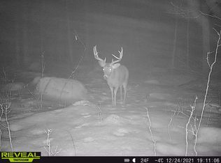 0 Beetle Creek Rd, Tigerton, WI 54486