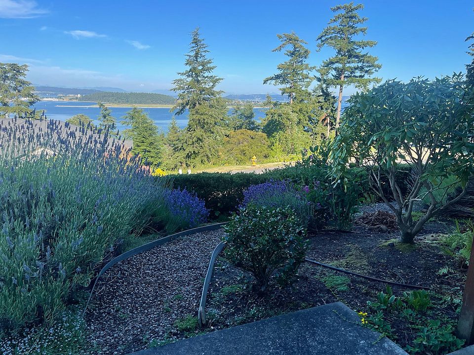 View over garden area