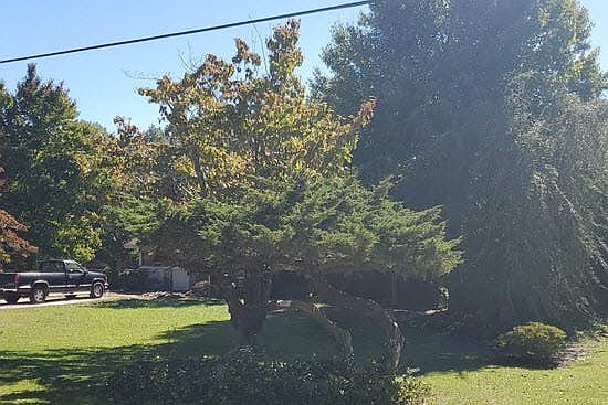 2nd image of 211 Highway 17