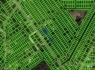 568 Bottlebrush Ave, Lake Placid, FL 33852