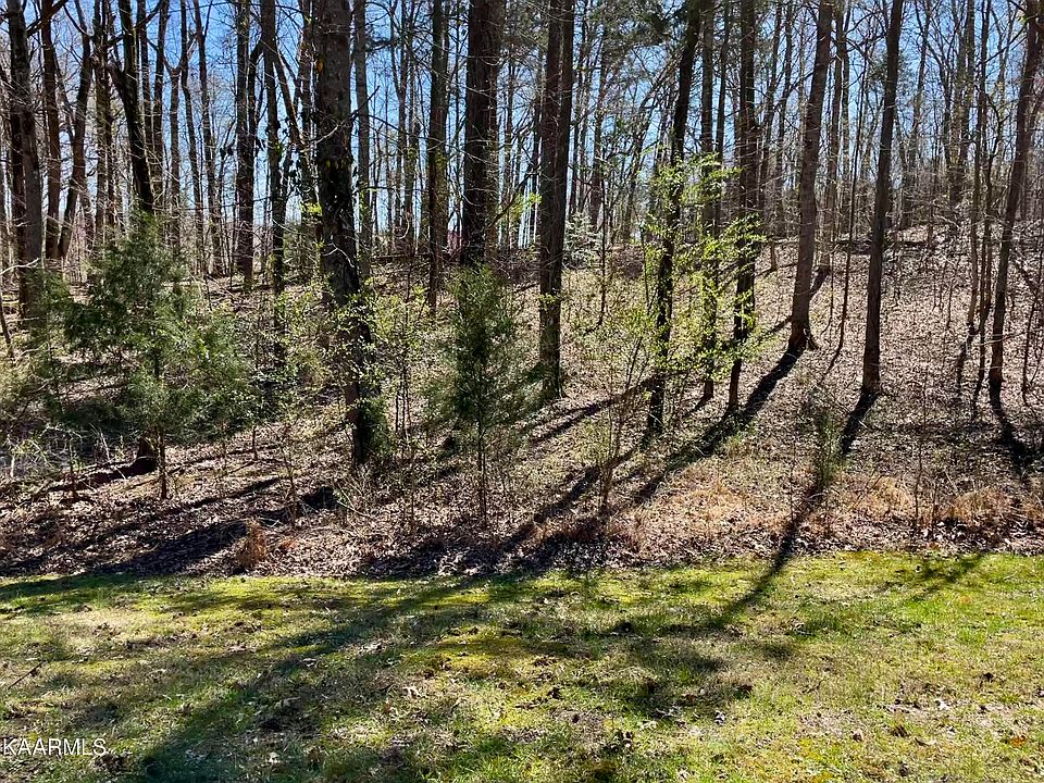 1st image of 61 E Shore Rd