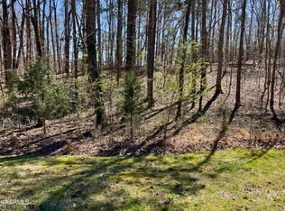 61 E Shore Rd, Rockwood, TN 37854