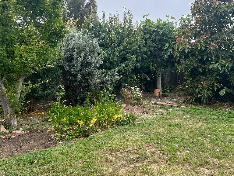 16 Rico Cir — Photo 8