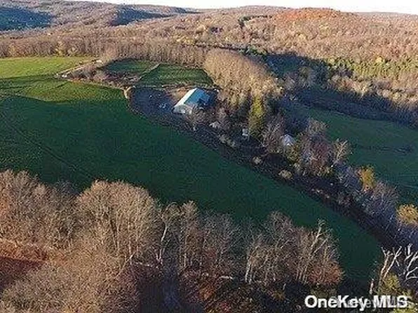 Menges Road, Youngsville, NY 12791