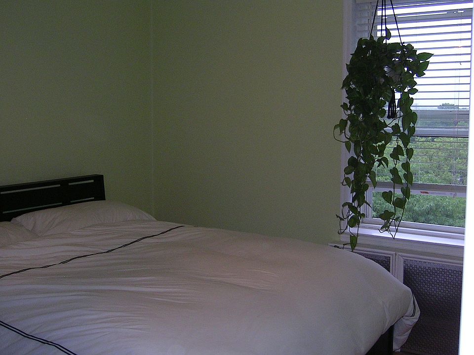 2nd image of 3965 51st St APT 6G