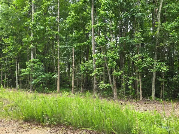 LOT Meandering Ln #72 & 73, Lincolnton, NC 28092