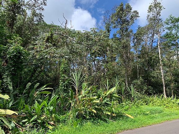 3rd image of 22nd Avenue Nanialii Lot 1218