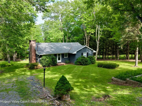 116 Reme Road, Prattsville, NY 12468