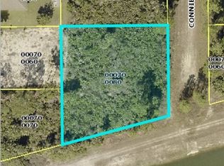 2911 Connie Ave N, Lehigh Acres, FL 33971