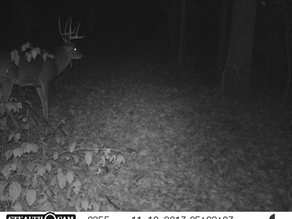 2nd image of 50594 Township Road 189