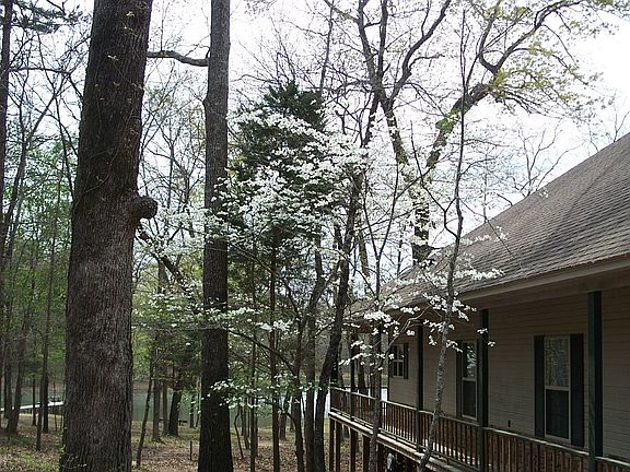2nd image of 15041 Canopy Oaks Dr