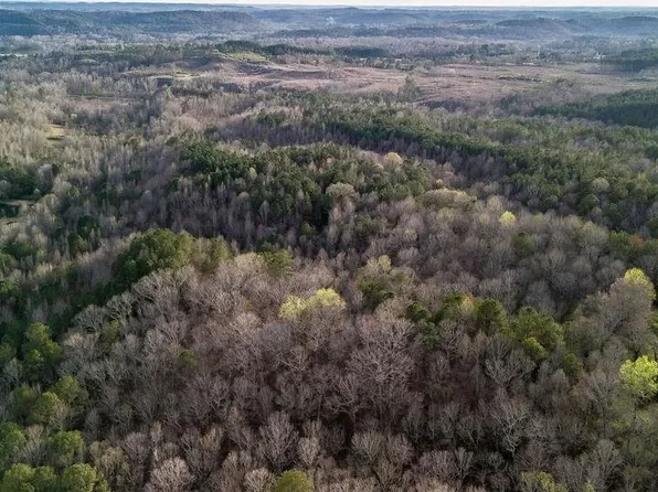 0 Alma Rd #1, Jasper, AL 35501
