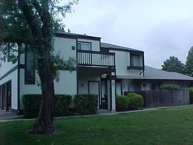 View from the yard