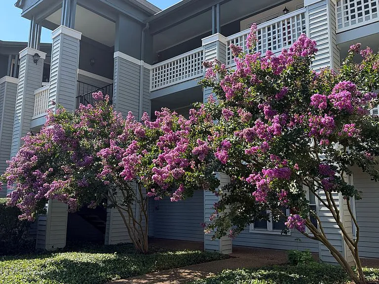 213 Hillsboro Pl — Photo 17