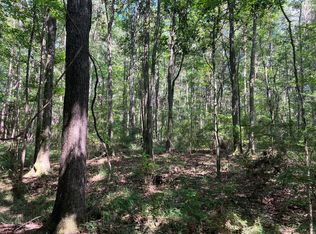 1375B Meadville Rd, Bogue Chitto, MS 39629