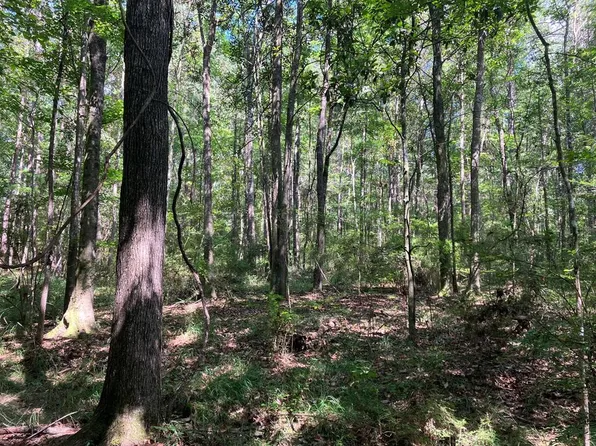 1375B Meadville Rd, Bogue Chitto, MS 39629