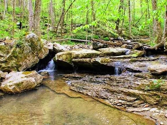 2nd image of 95 Side Cumberland Mountain