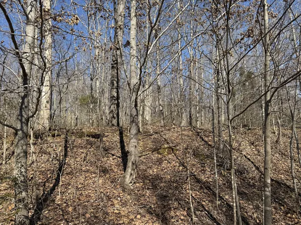 0 Hurricane Loop, Tennessee Ridge, TN 37178