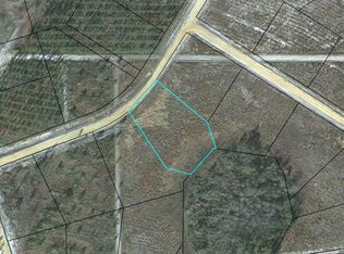 LOT 49 Pinecrest, Waynesville, GA 31566