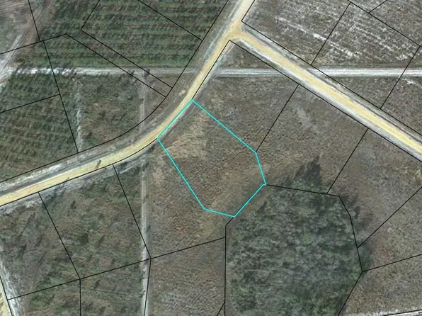 LOT 49 Pinecrest, Waynesville, GA 31566