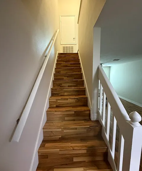 5446 Carrollwood Key Dr — Photo 12
