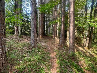 70 Monte Carlo Ct, Davis, WV, 26260