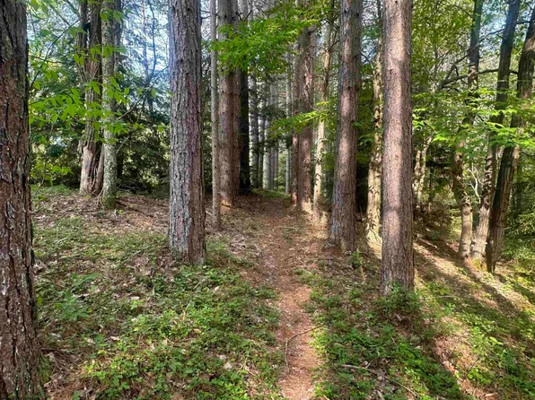 70 Monte Carlo Ct, Davis, WV 26260