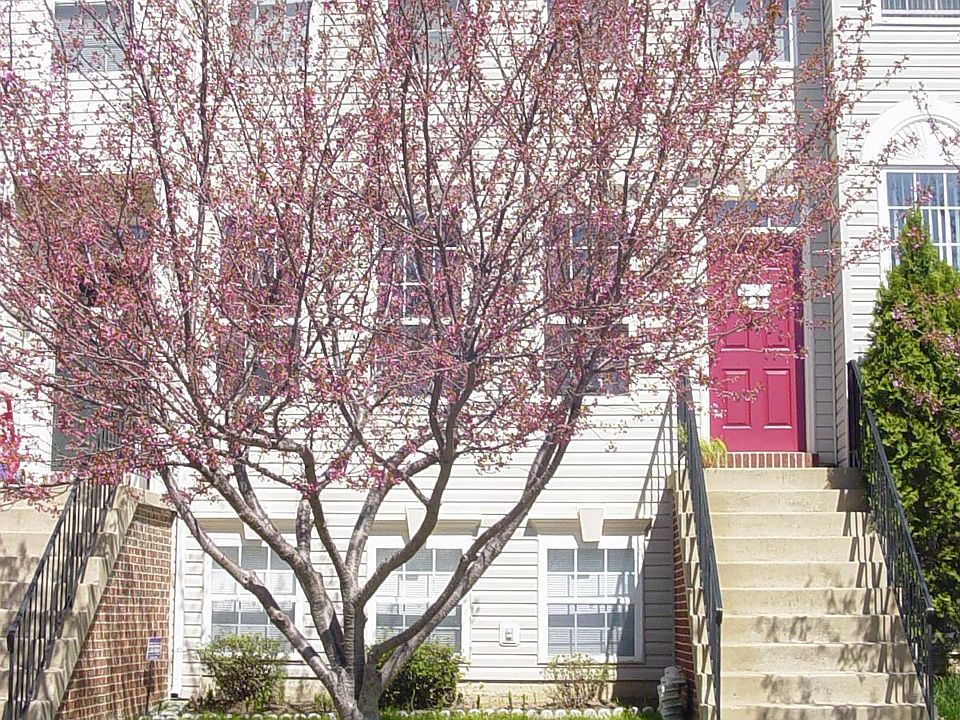 Front of the house in spring