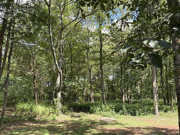 2nd image of 109 Taborwood Trl