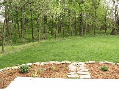 Wooded Back Yard