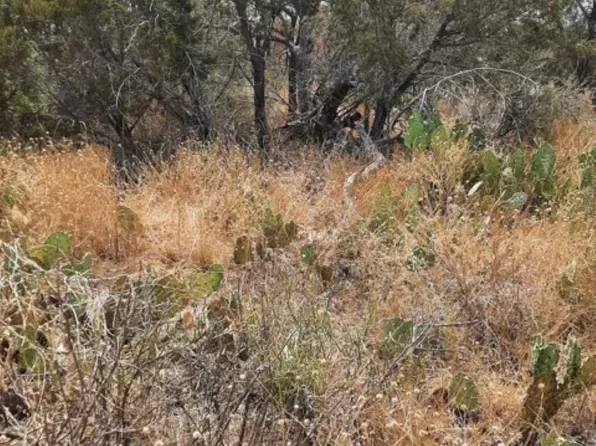 Lot 24 & 26 Radium, Burnet, TX 78611