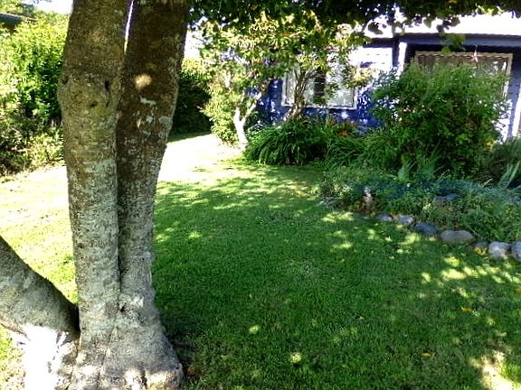4th image of 223 Del Monte St #A