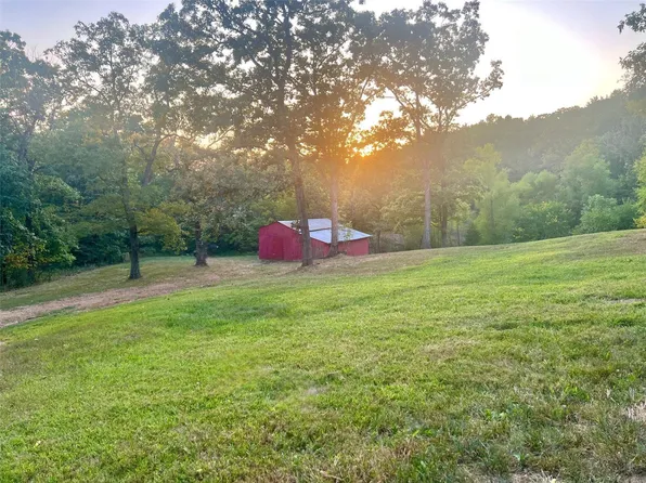 8675 Forest View Dr, Bonne Terre, MO 63628