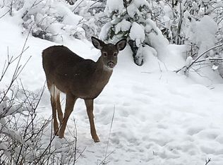 159 Janish Dr, Sandpoint, ID 83864