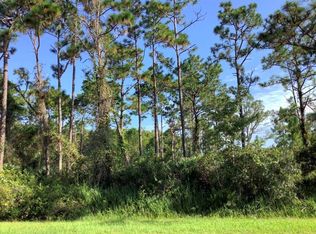 Quinella St LOT 470, Orlando, FL 32833
