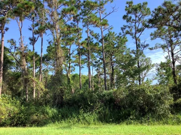 Quinella St Lot 470, Orlando, FL 32833