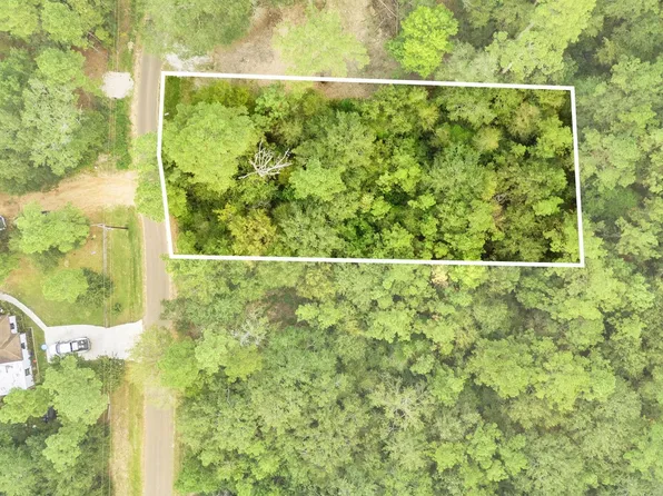 0 County Road 201 Loop, Plantersville, TX 77363