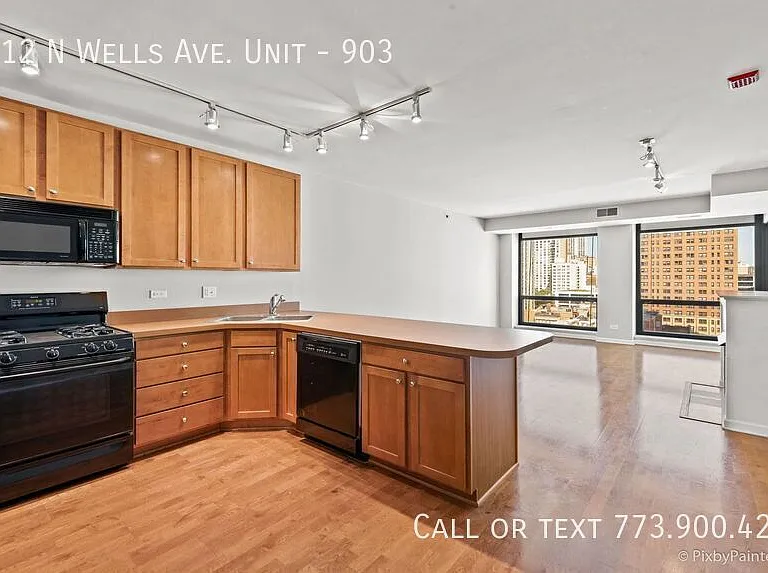 1212 N Wells St #903 — Photo 9
