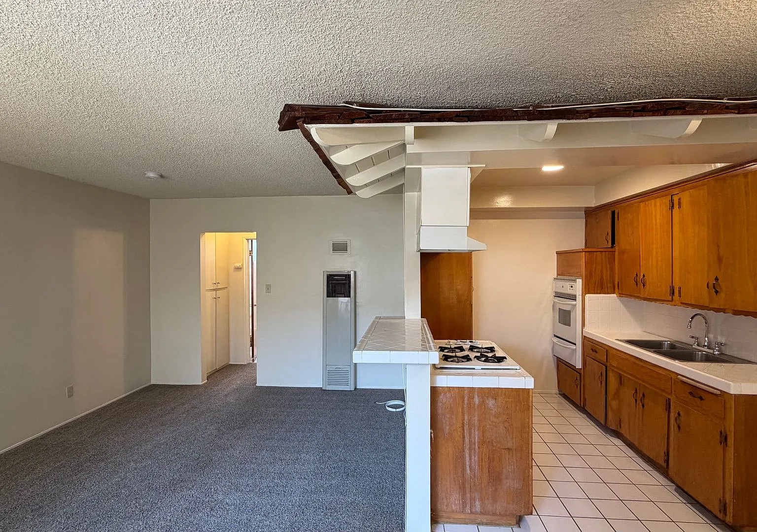 310Elec — Photo 1