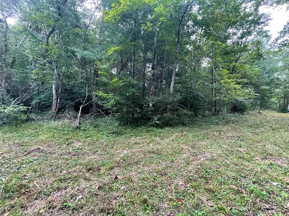 Tbd Crab Orchard Rd, Coeburn, VA 24230