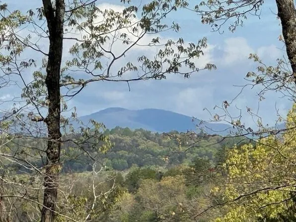 1 Panorama Dr, Dahlonega, GA 30533